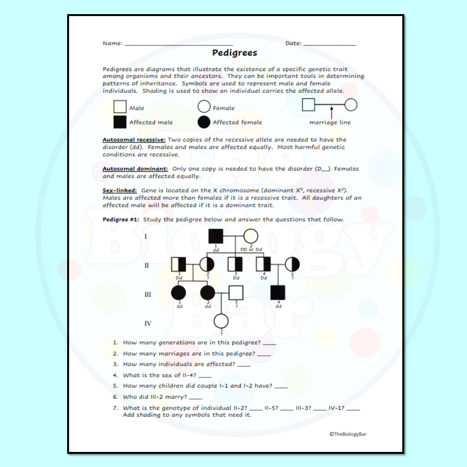pedigree worksheet answers