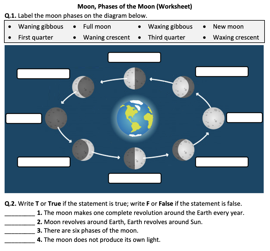 Phases Of The Moon Explained Worksheets Library