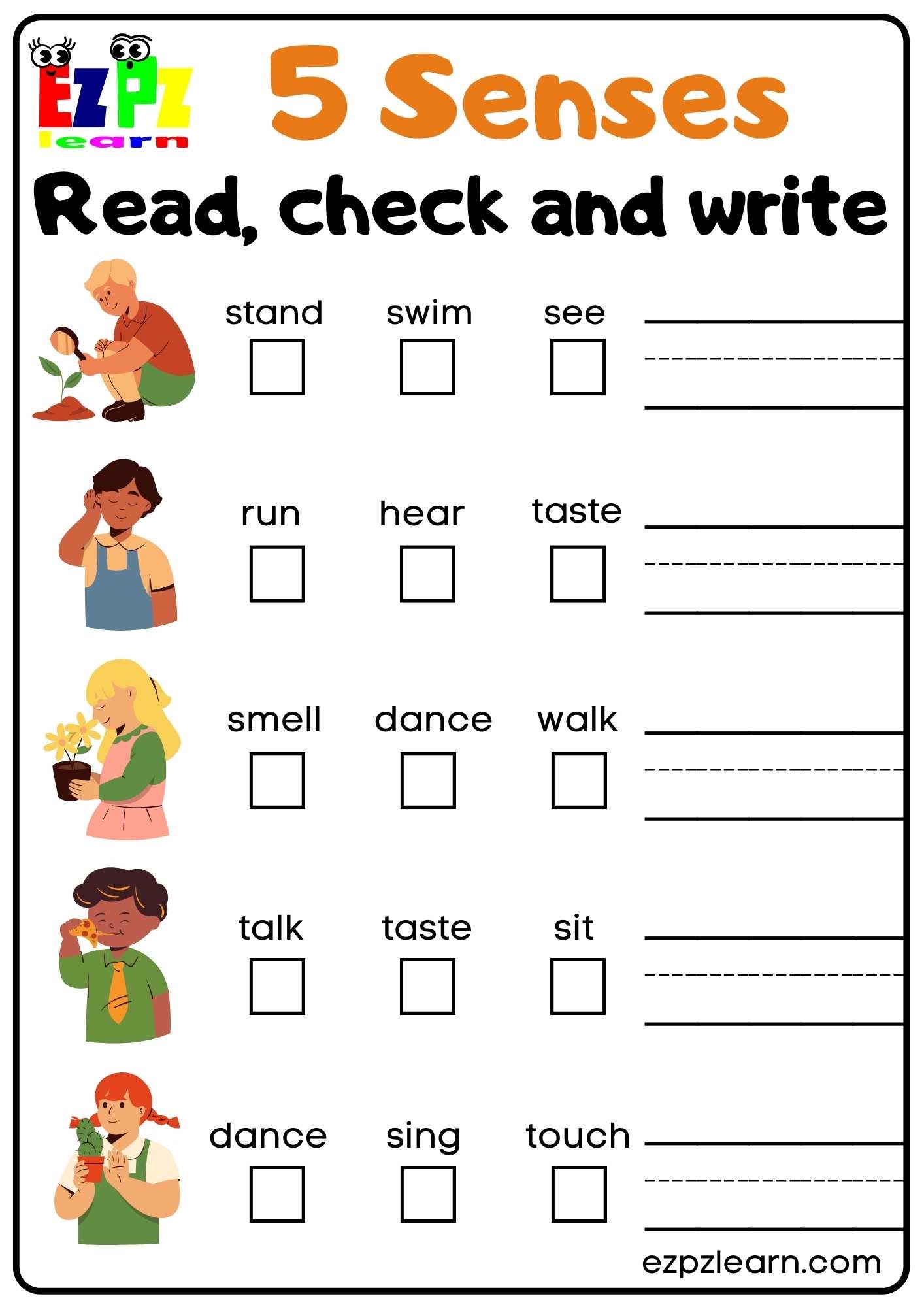 5 senses worksheets 5 senses worksheets