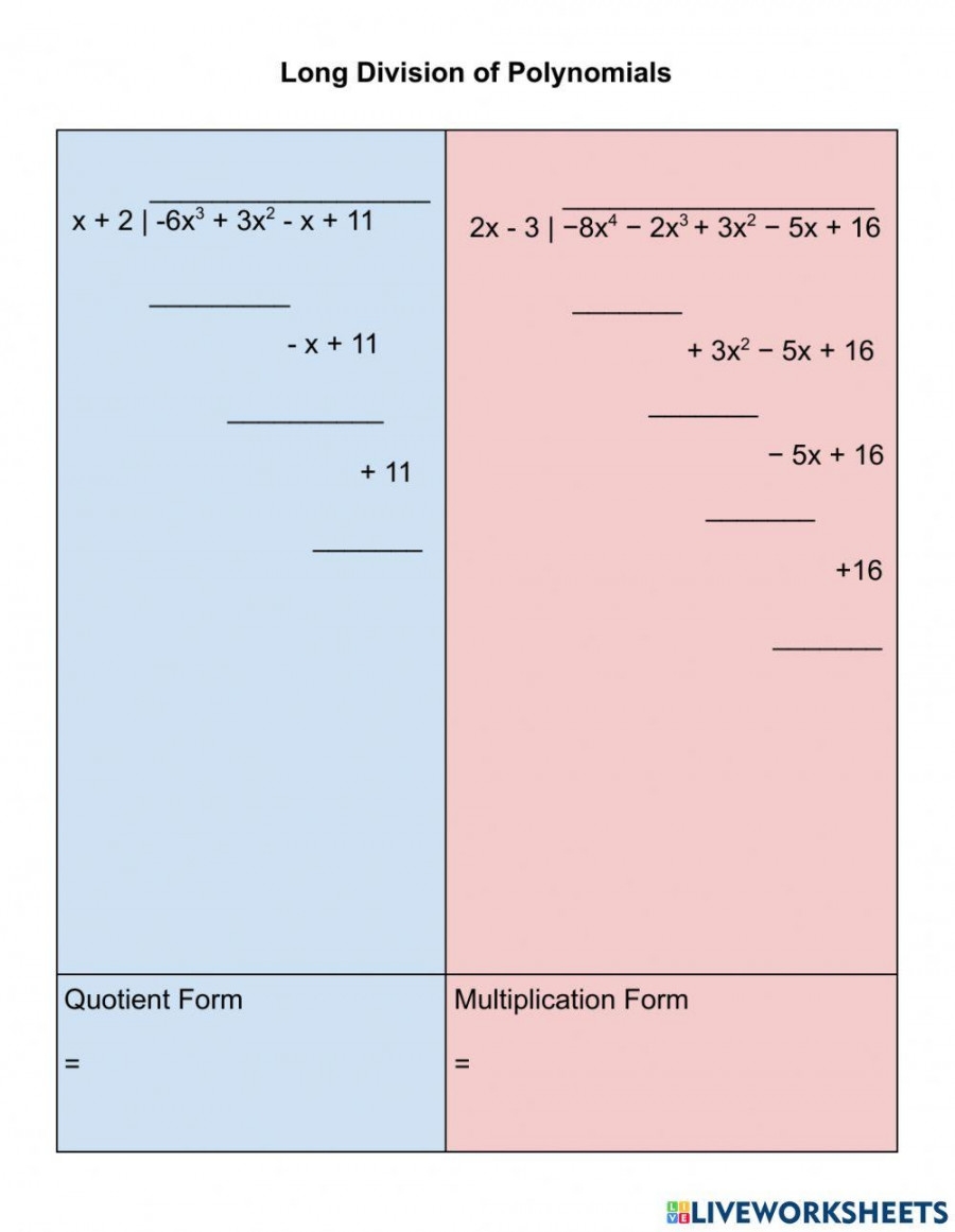 Polynomial Long Division Worksheet Printable PDF Template