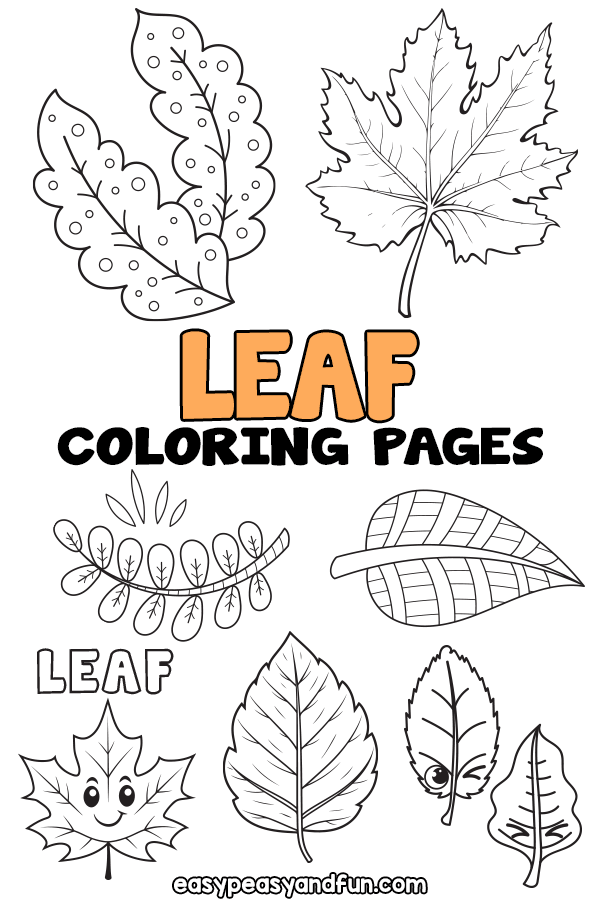 Printable Leaf Coloring Pages 25 Sheets Easy Peasy And Fun