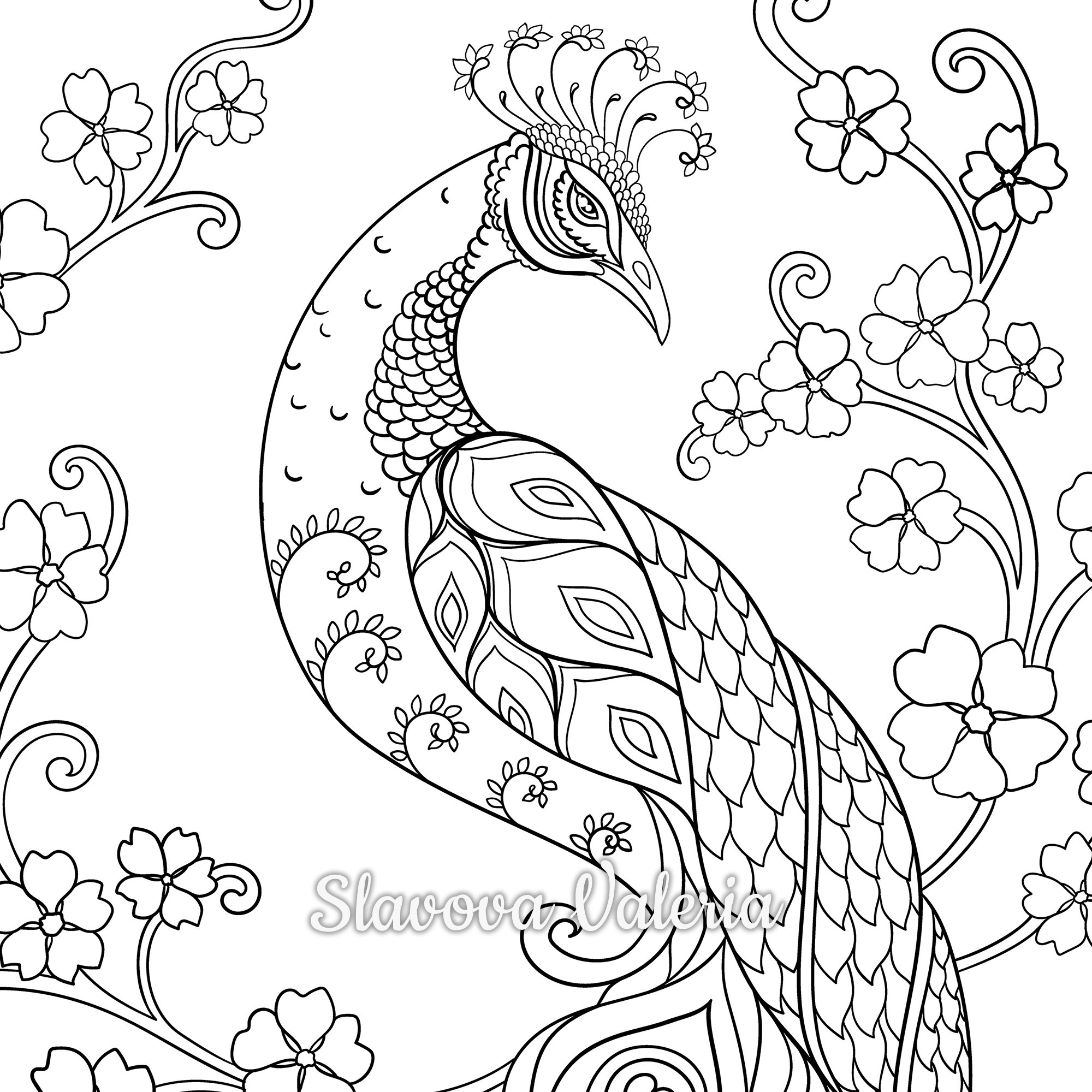 Printable Peacock Coloring Pages 2025 