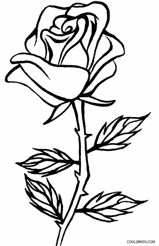 rose coloring page rose coloring page