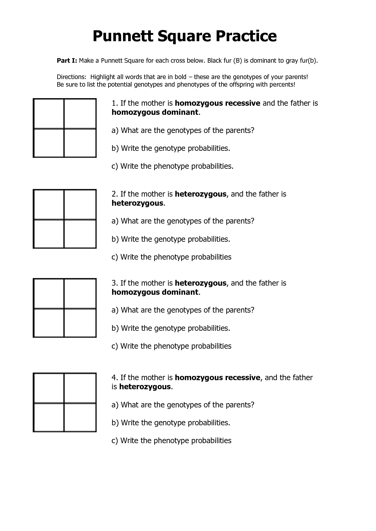 Punnett Square Practice Worksheet