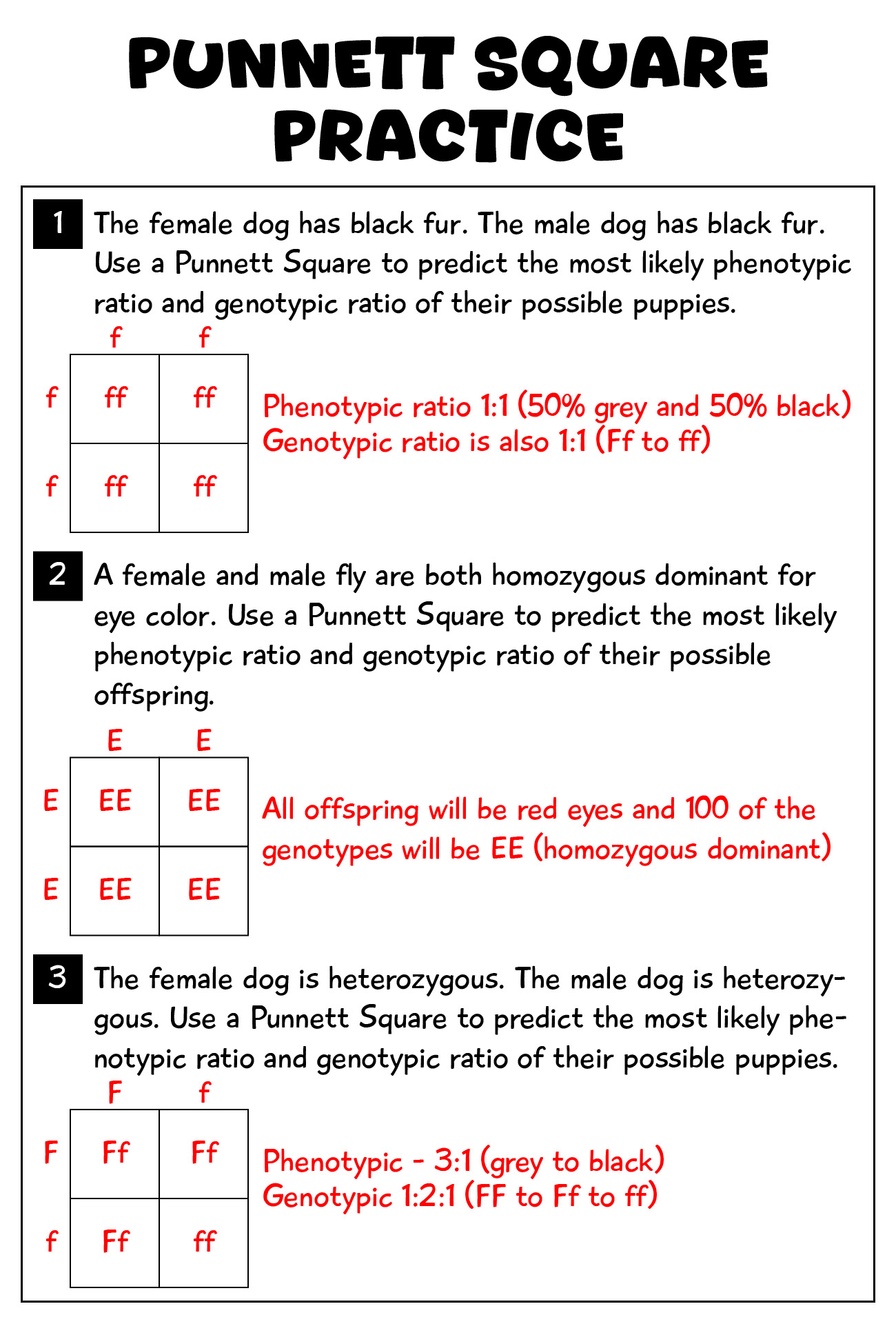Punnett Square Worksheets 10 Free PDF Printables Printablee