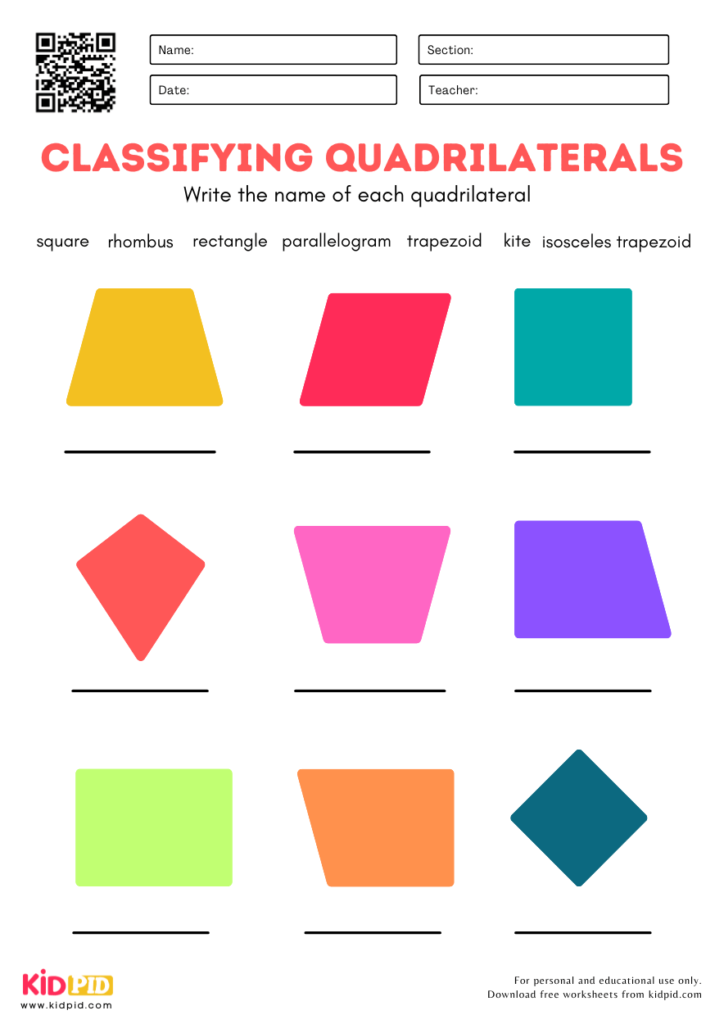 Quadrilaterals Worksheet Geometry