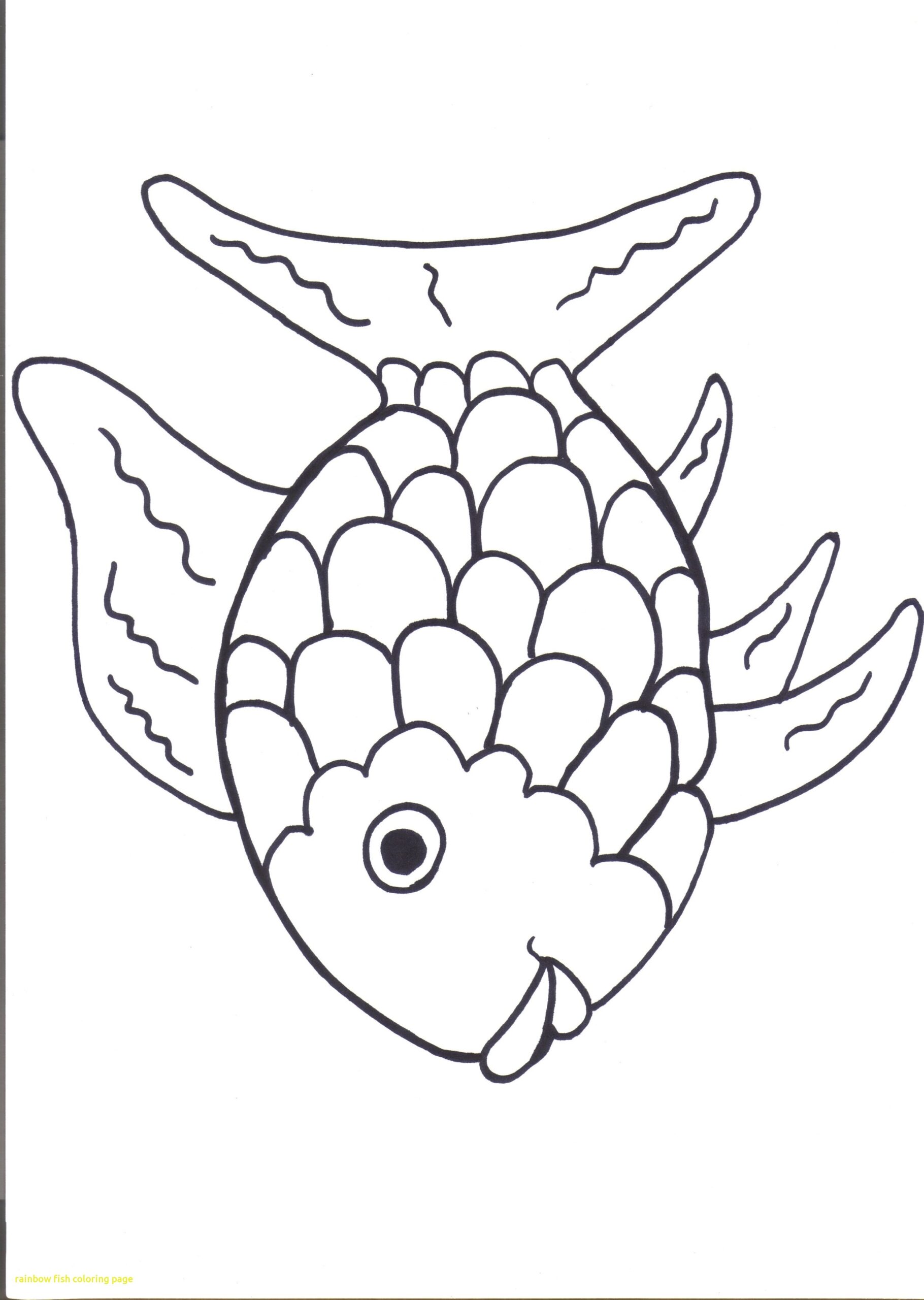 Rainbow Fish Coloring Page At GetColorings Free Printable Rainbow Fish Coloring Page At GetColorings Free Printable