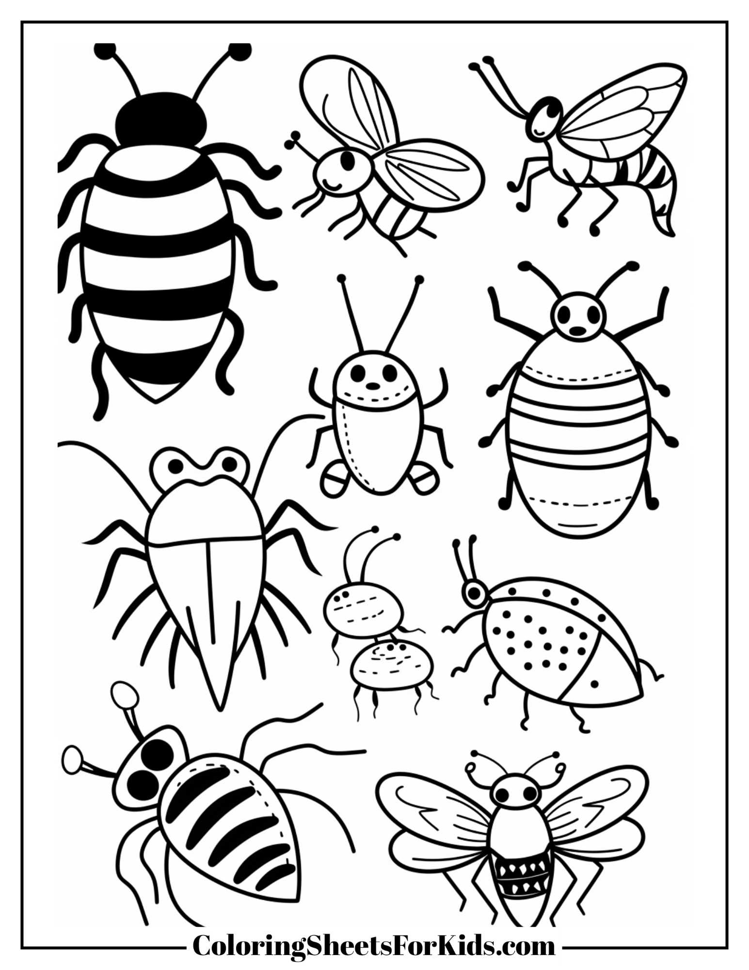 Realistic Bug Coloring Pages Realistic Bug Coloring Pages