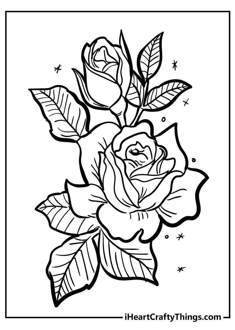 color pages roses color pages roses