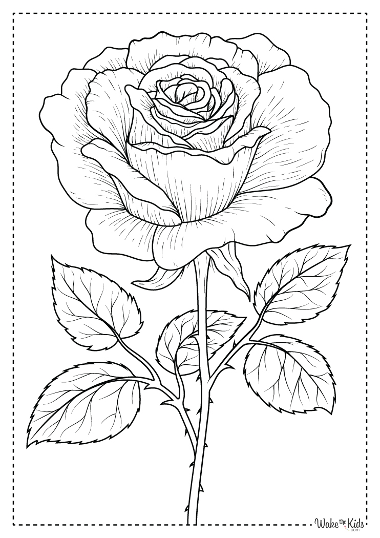 Rose Coloring Pages Free Printable PDFs WakeTheKids Rose Coloring Pages Free Printable PDFs WakeTheKids
