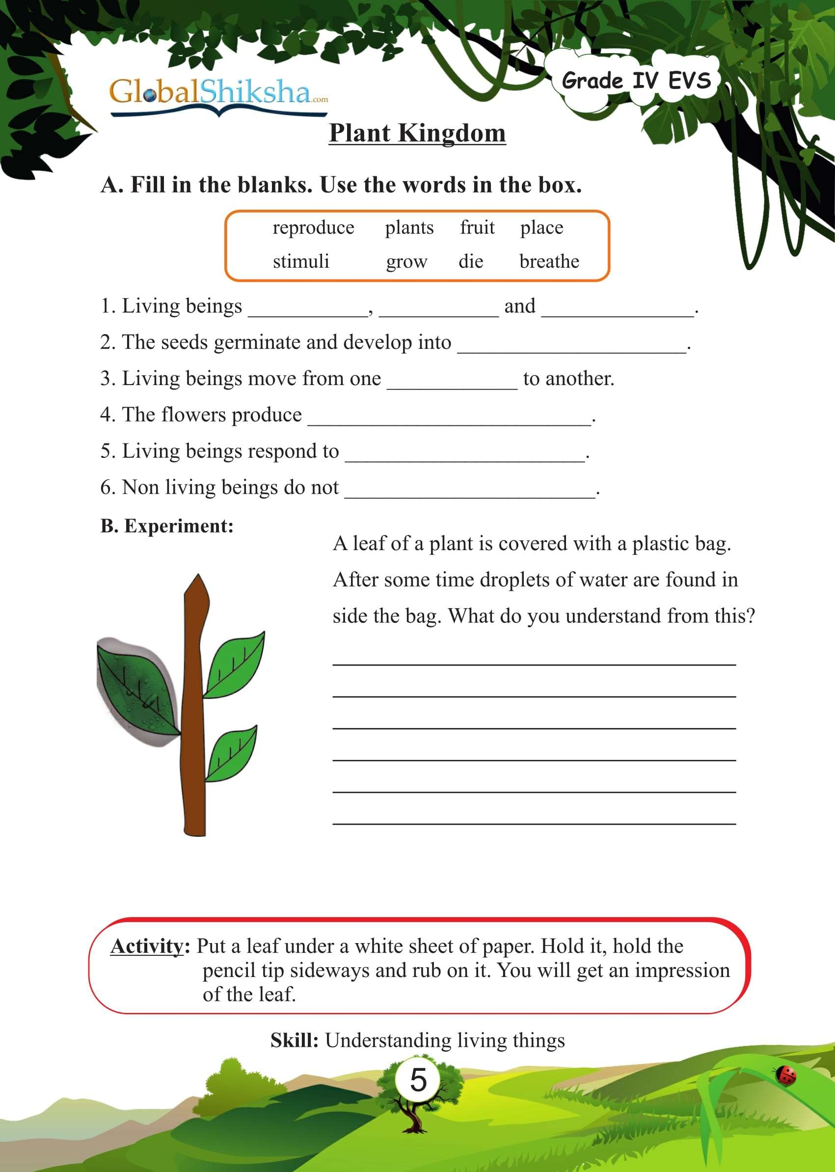 4th grade science worksheets 4th grade science worksheets
