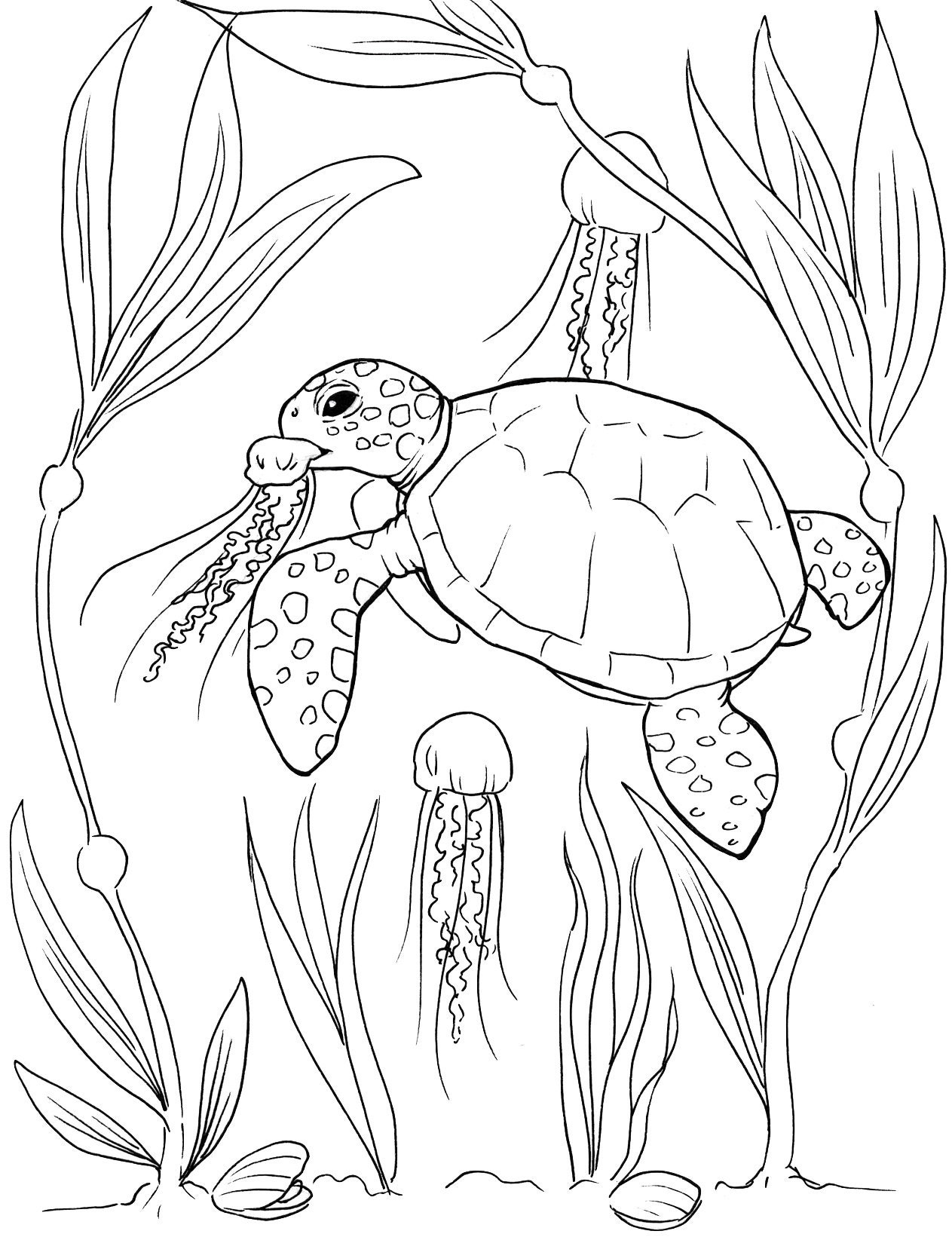 Sea Turtles Coloring Pages 2025 Sea Turtles Coloring Pages 2025