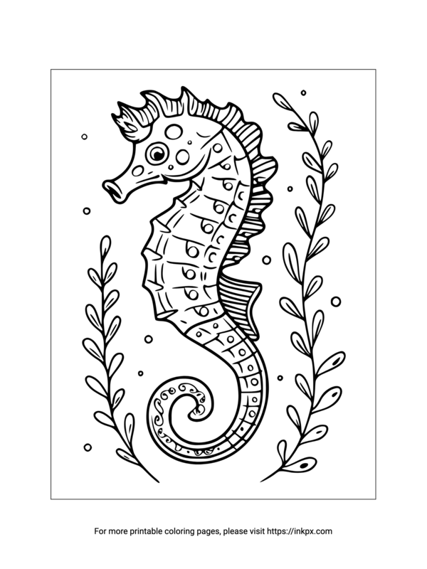 seahorse coloring page seahorse coloring page