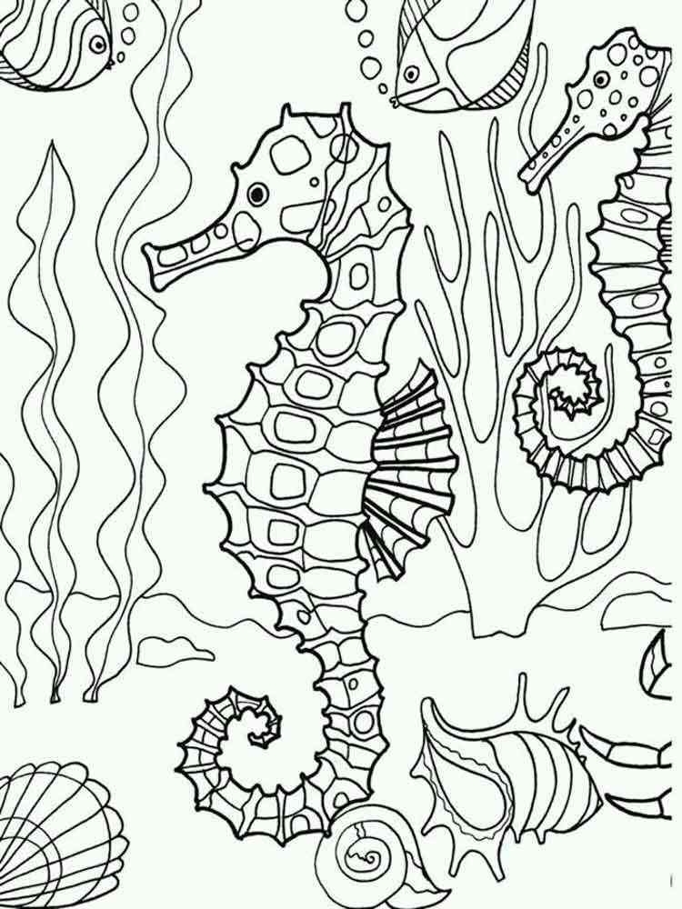 Seahorse Coloring Pages Seahorse Coloring Pages