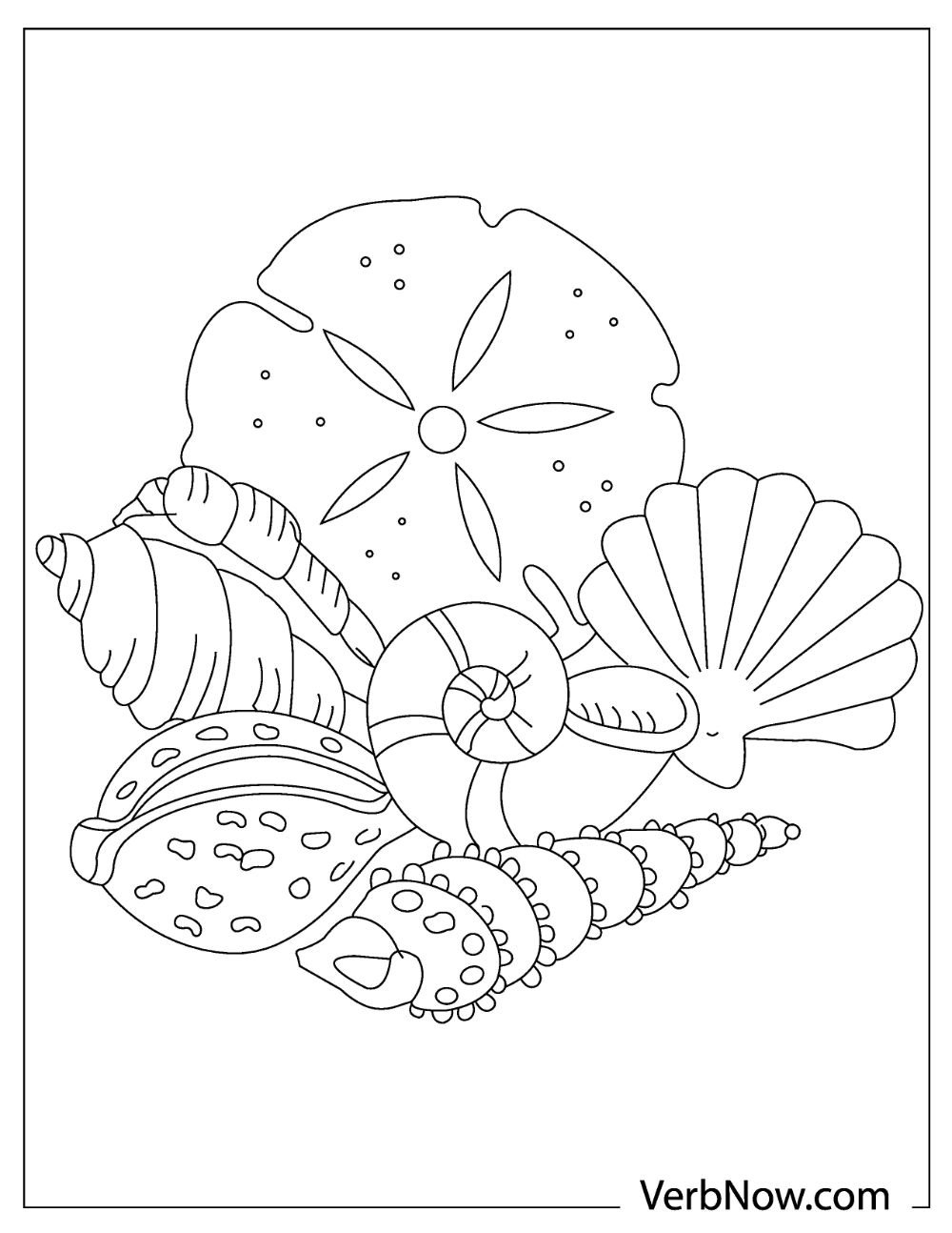 Seashell Coloring Pages Seashell Coloring Pages