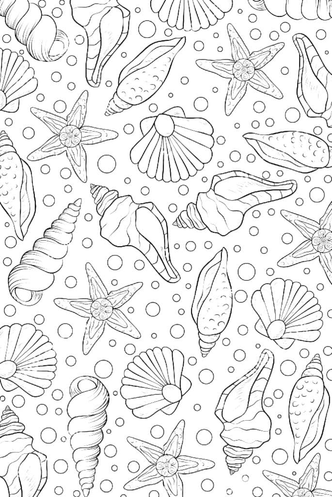 Seashell Coloring Pages Seashell Coloring Pages
