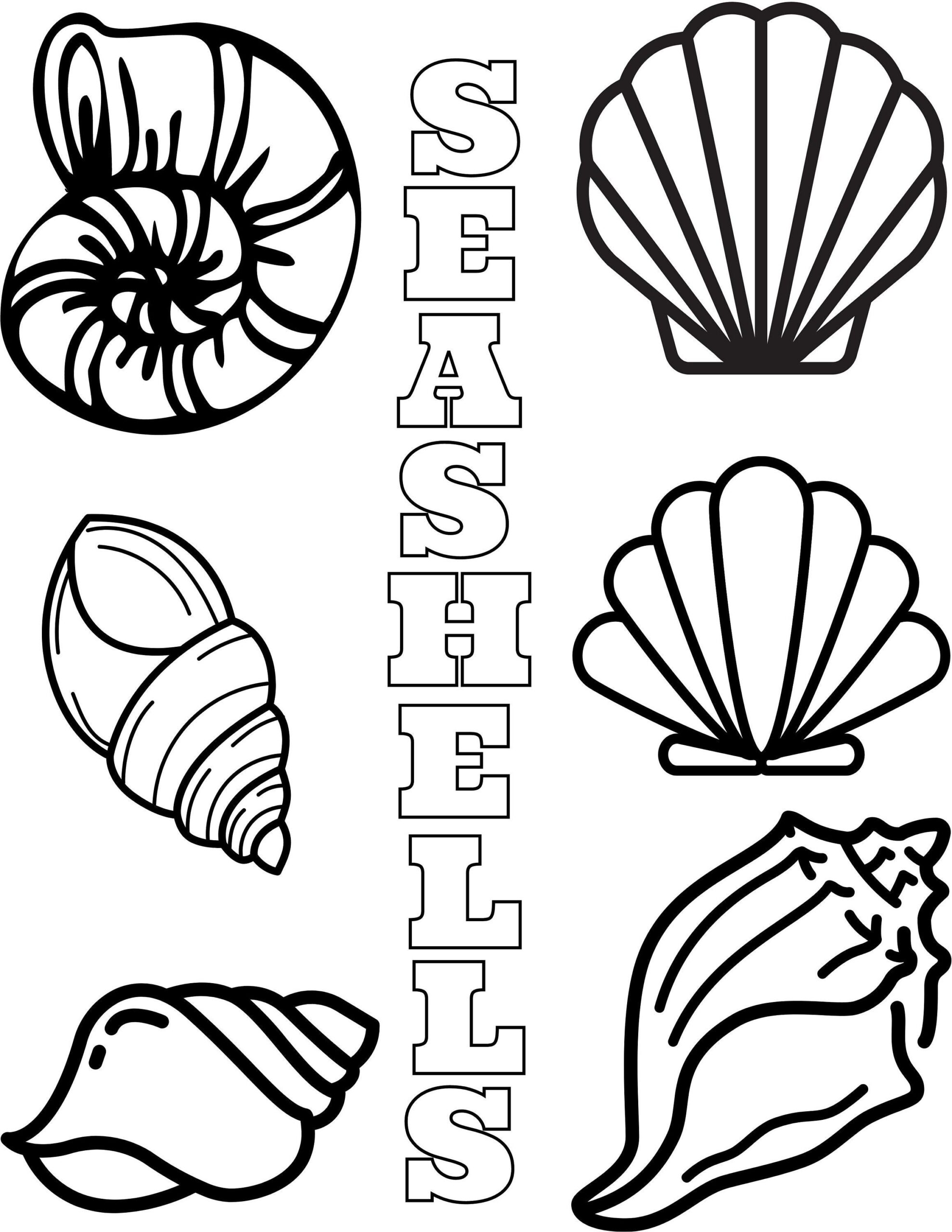 Seashell Coloring Pages