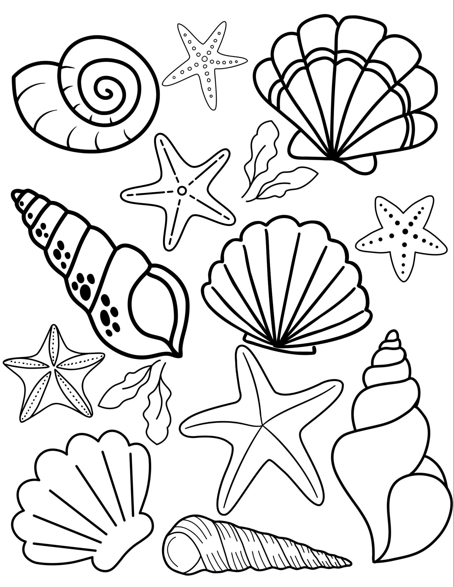 Set Of 4 Ocean Colouring Pages Sea Seashells Fish Kids Colouring Set Of 4 Ocean Colouring Pages Sea Seashells Fish Kids Colouring
