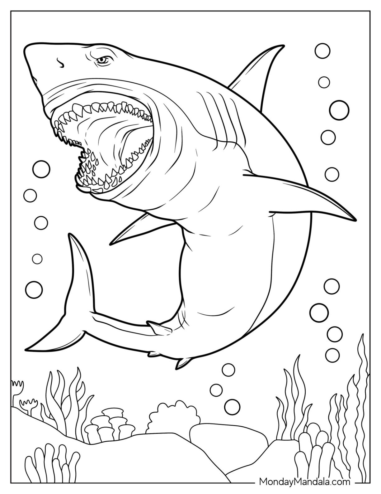 shark coloring page