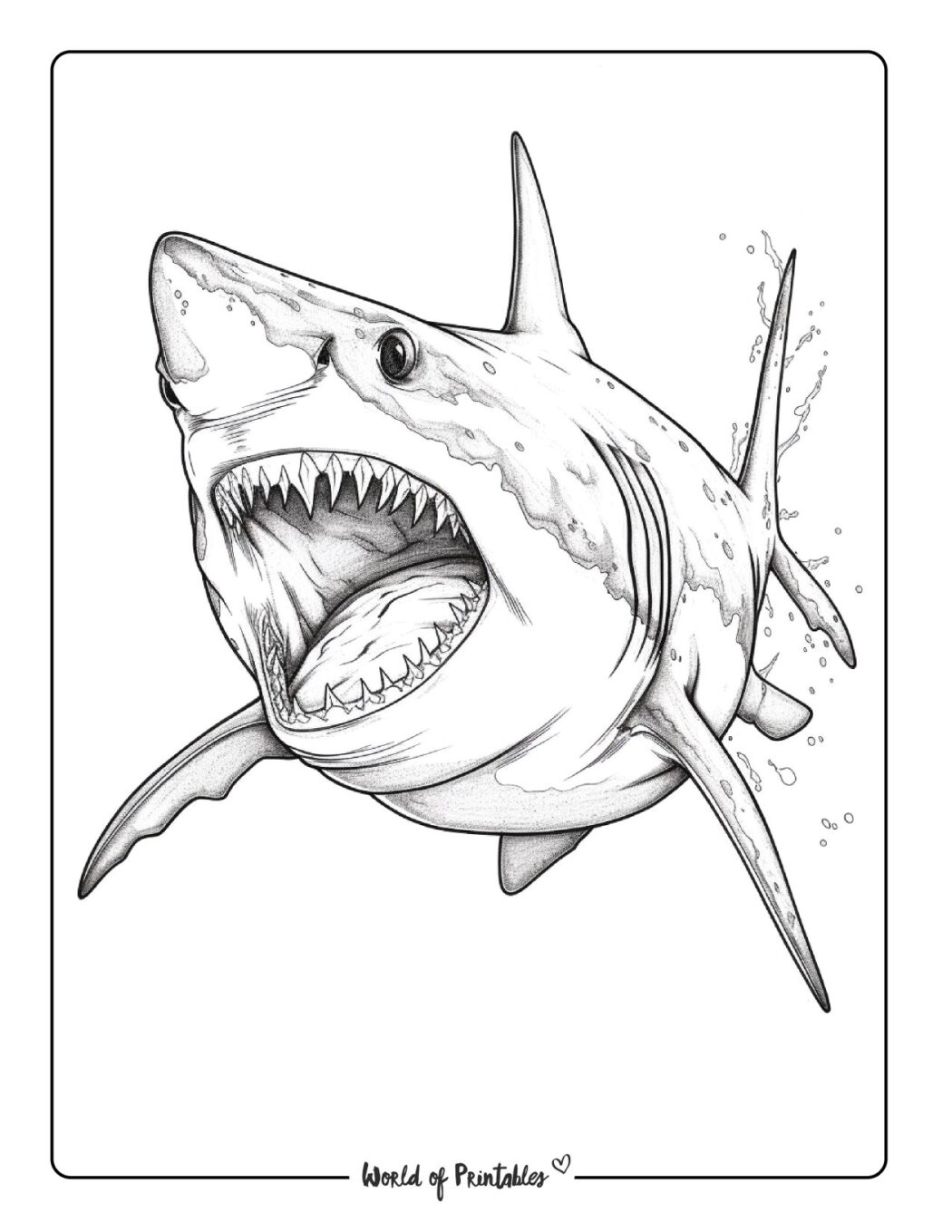 Shark Coloring Pages For Kids Adults World Of Printables Shark Coloring Pages For Kids Adults World Of Printables