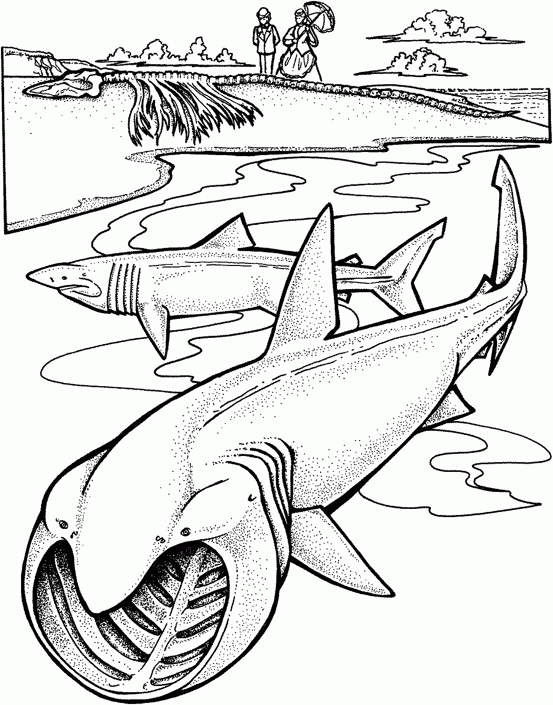 Shark Coloring Pages Free Printable Coloring Pages For Kids