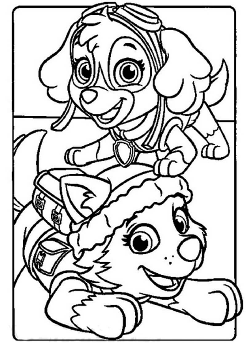 Skye Paw Patrol Coloring Page