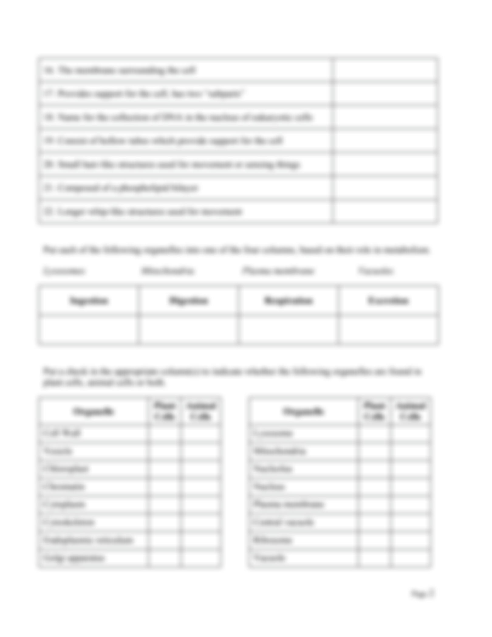 SOLUTION Cell Organelles Worksheet Studypool Worksheets Library