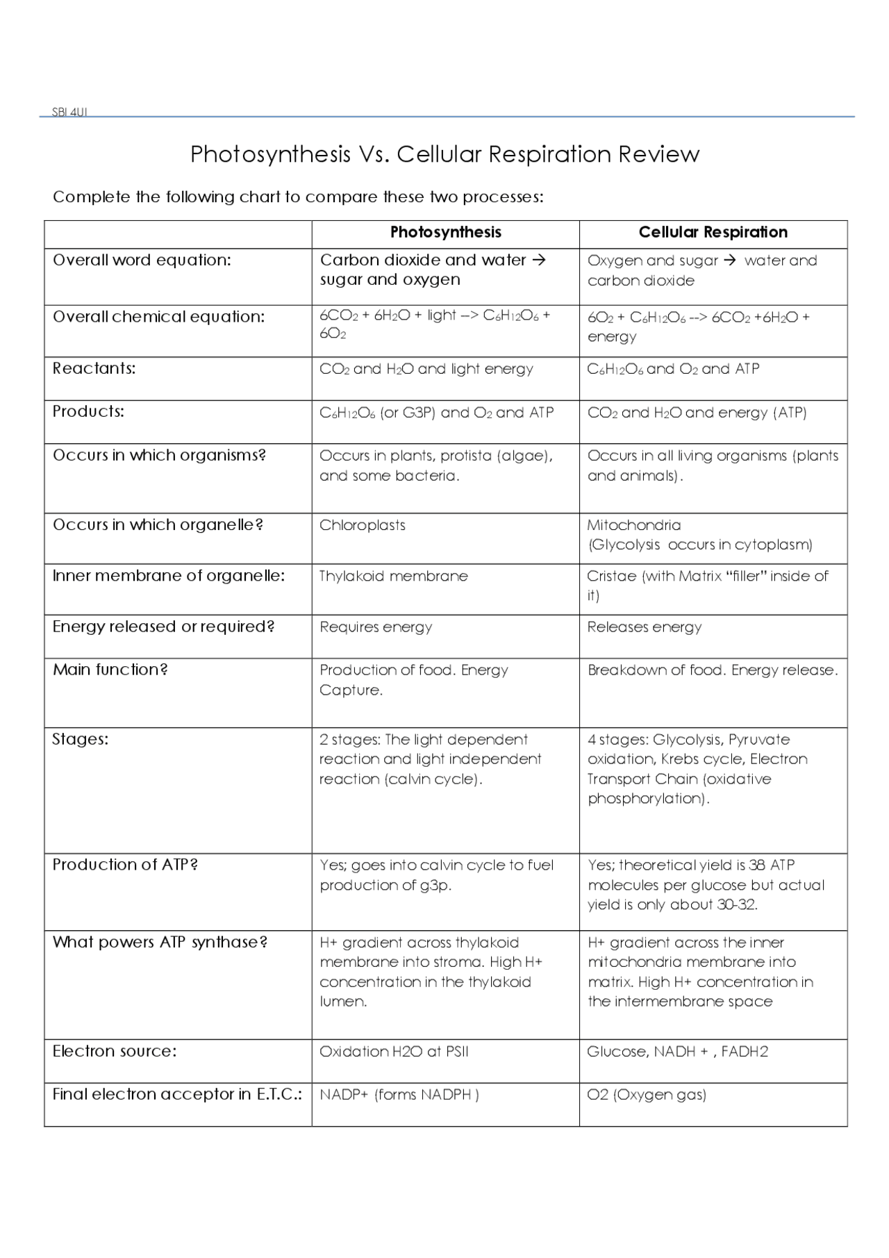 photosynthesis and cellular respiration worksheet