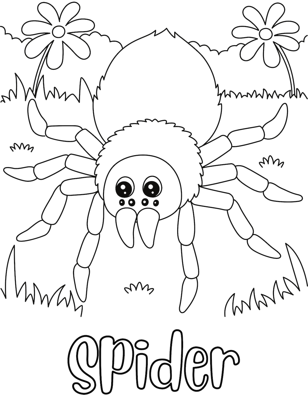 Spider Coloring Page DIGITAL DOWNLOAD Printable Coloring Page Etsy 