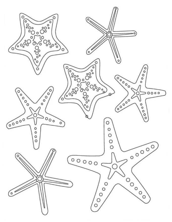 Starfish Coloring Pages Starfish Coloring Pages