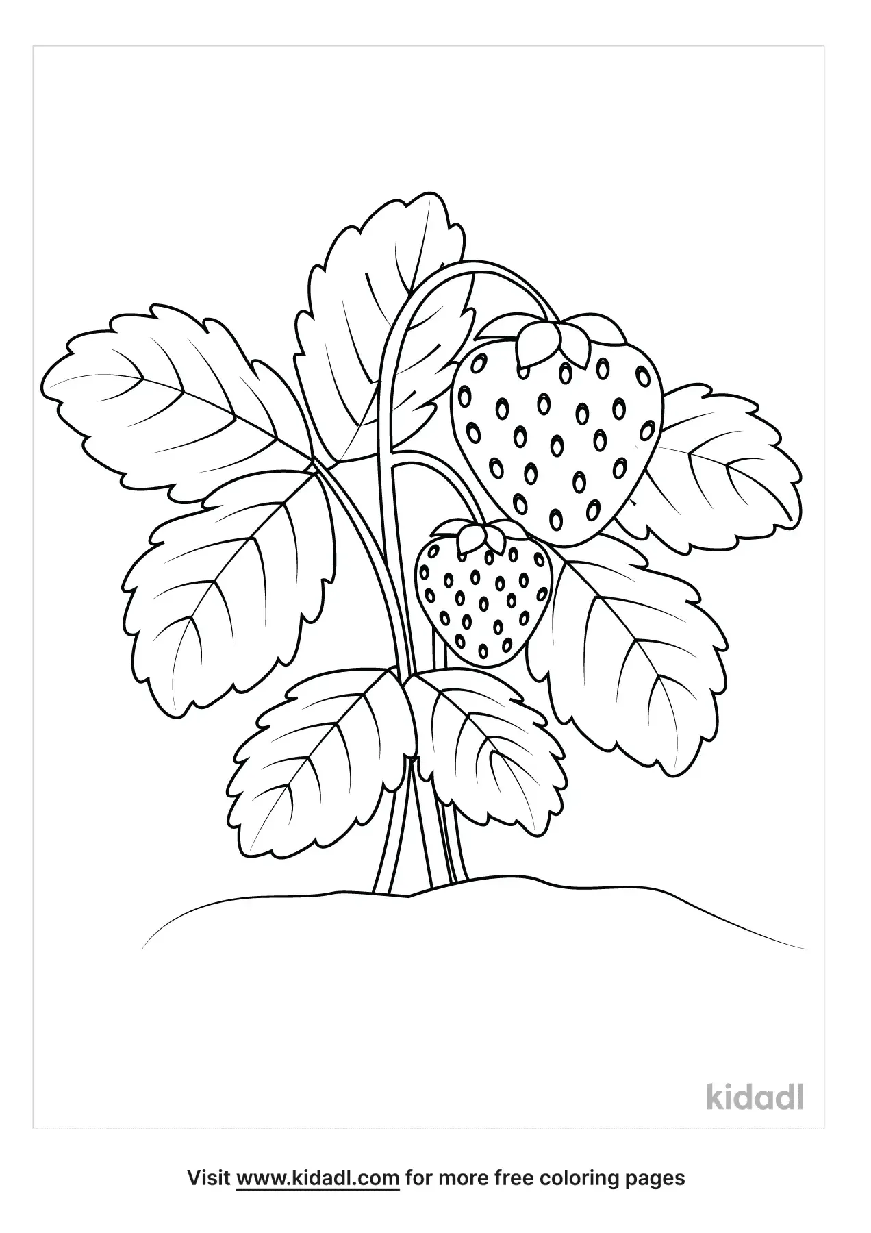 Strawberry Plant Coloring Page