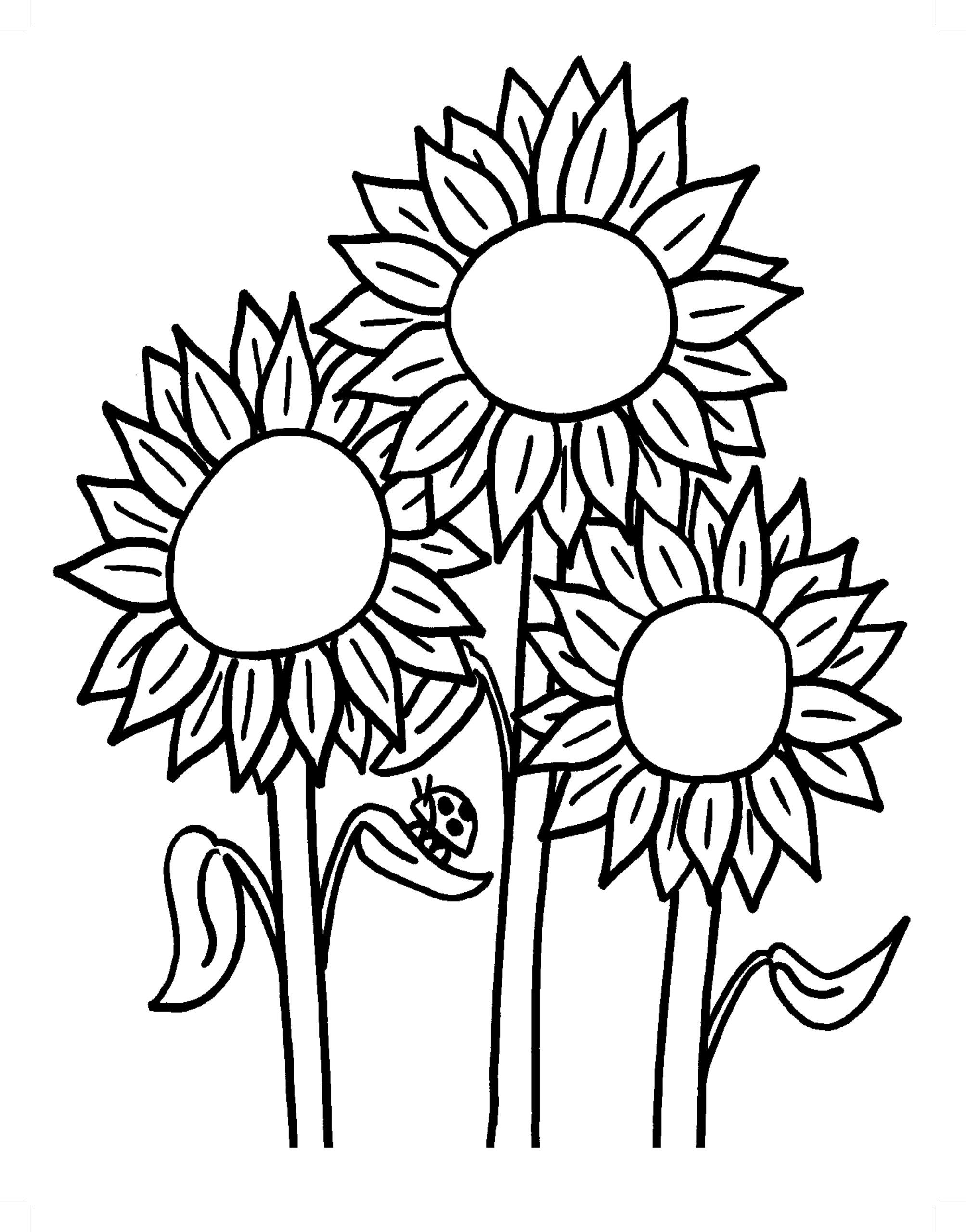 Sunflower Coloring Page At GetDrawings Free For Personal Use 