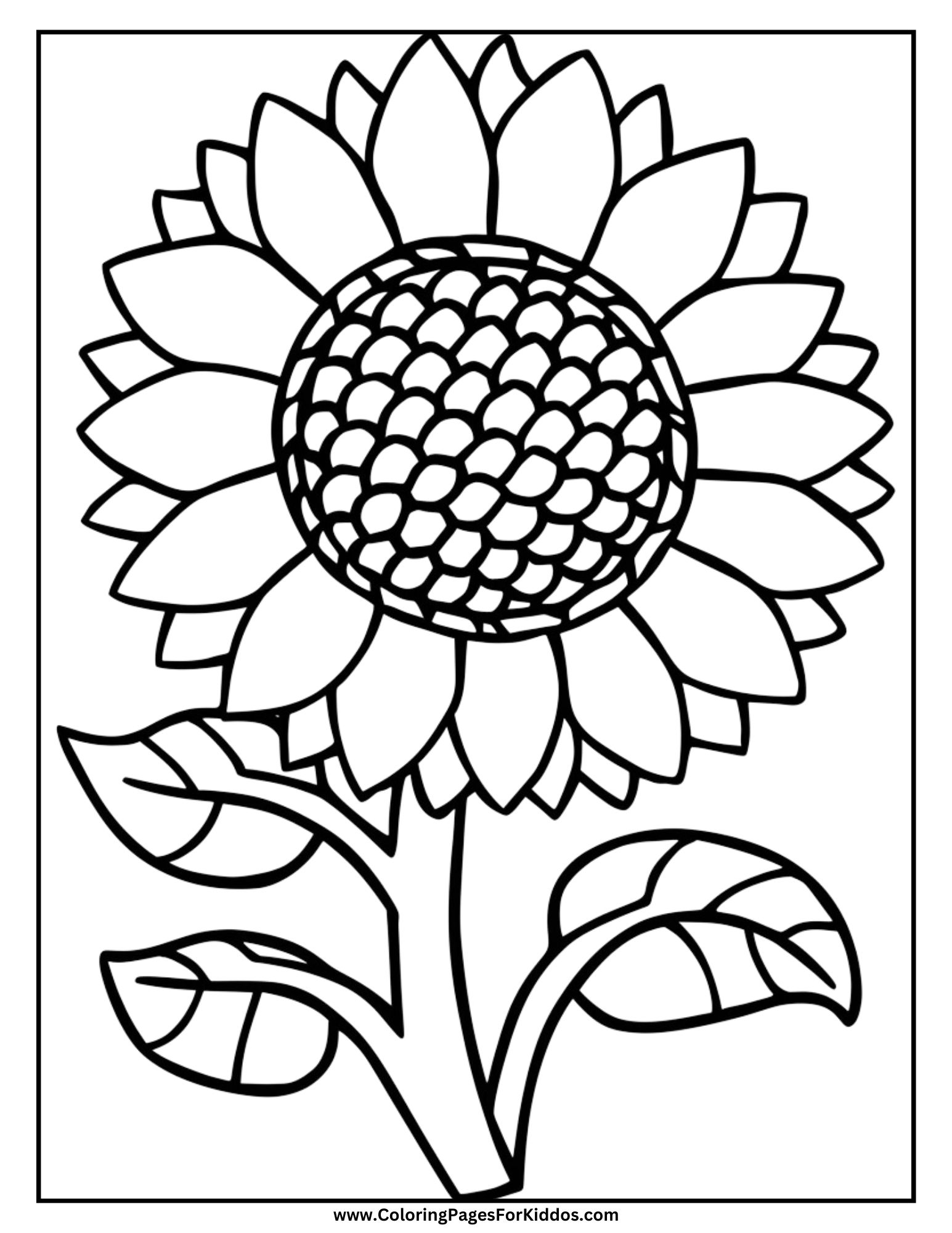 Sunflower Coloring Pages 10 Free Printable PDFs