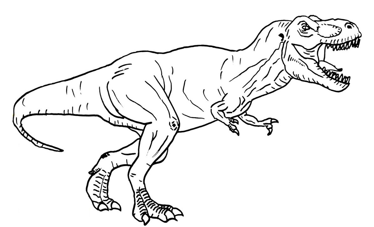 T Rex Coloring Pages Free Printable Coloring Pages For Kids T Rex Coloring Pages Free Printable Coloring Pages For Kids