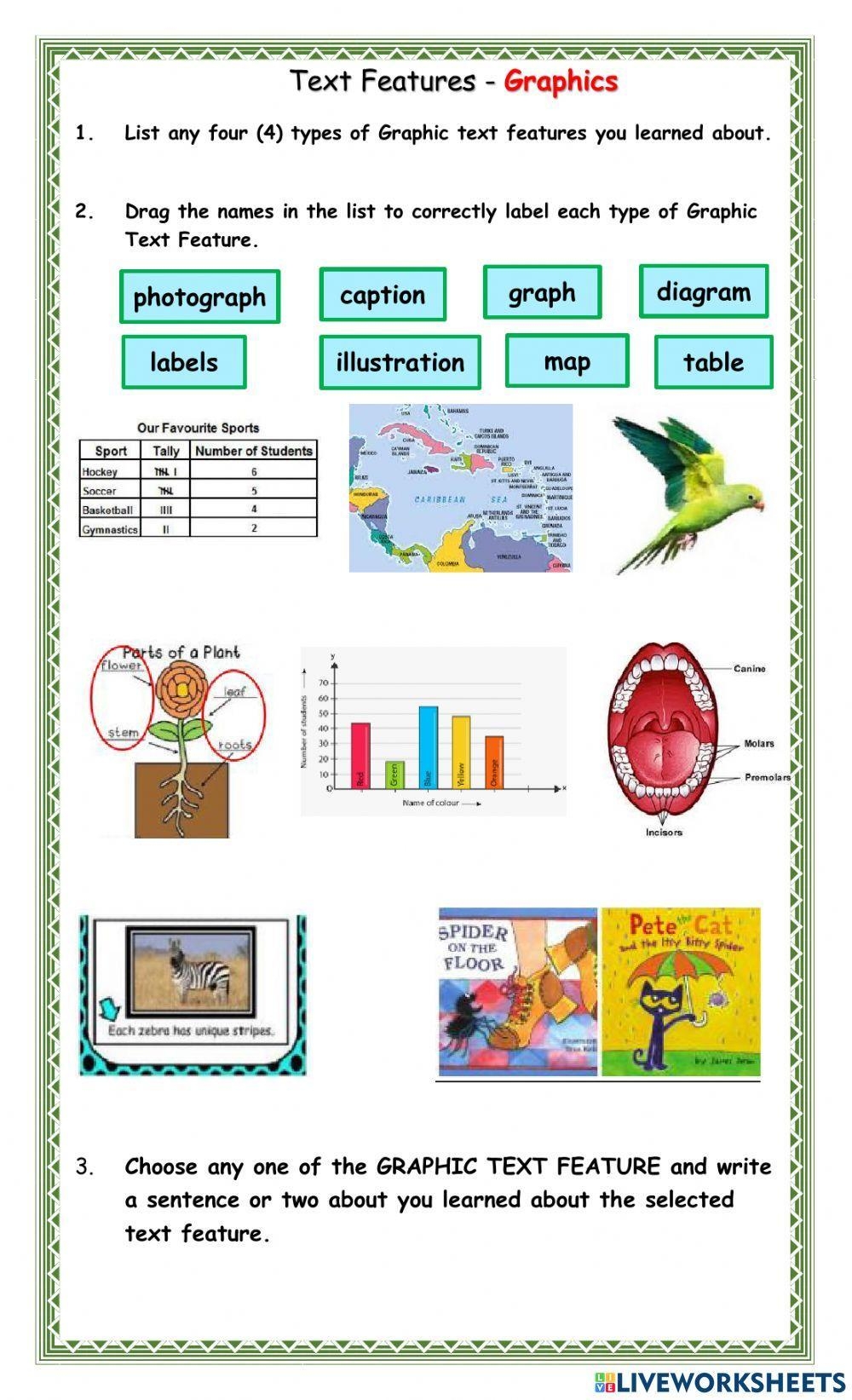 Text Features Graphics Worksheet Worksheets Library Text Features Graphics Worksheet Worksheets Library