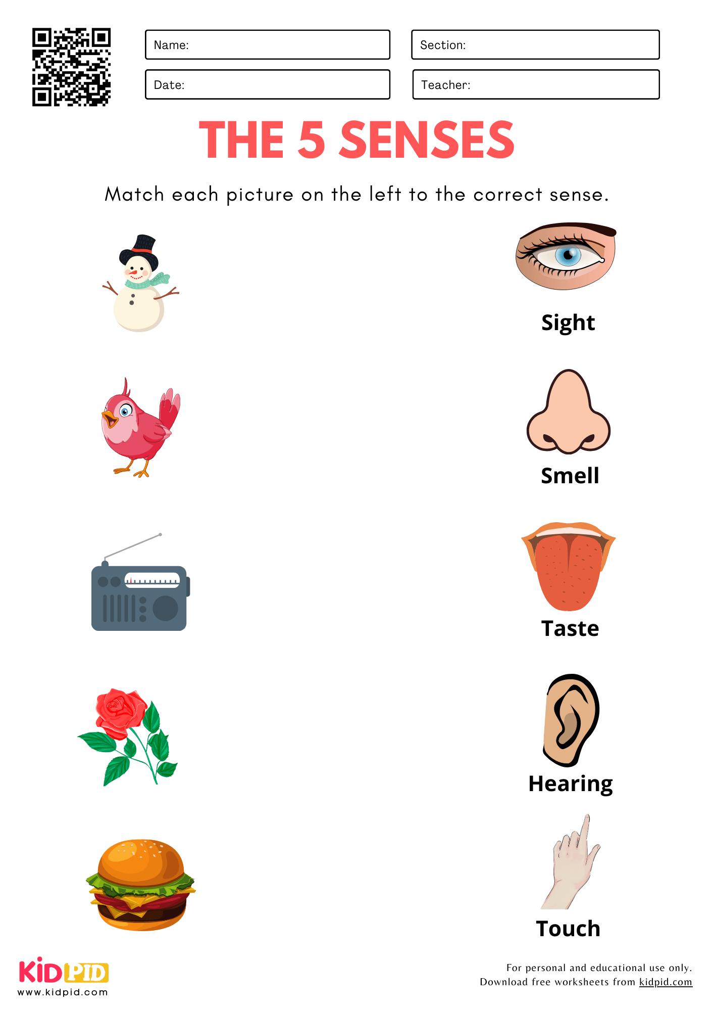 The 5 Senses Uses Worksheet For Kindergarten Kidpid The 5 Senses Uses Worksheet For Kindergarten Kidpid