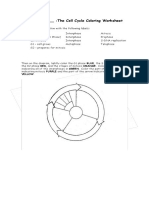 The Cell Cycle Coloring Worksheet Yellow Download Free PDF The Cell Cycle Coloring Worksheet Yellow Download Free PDF
