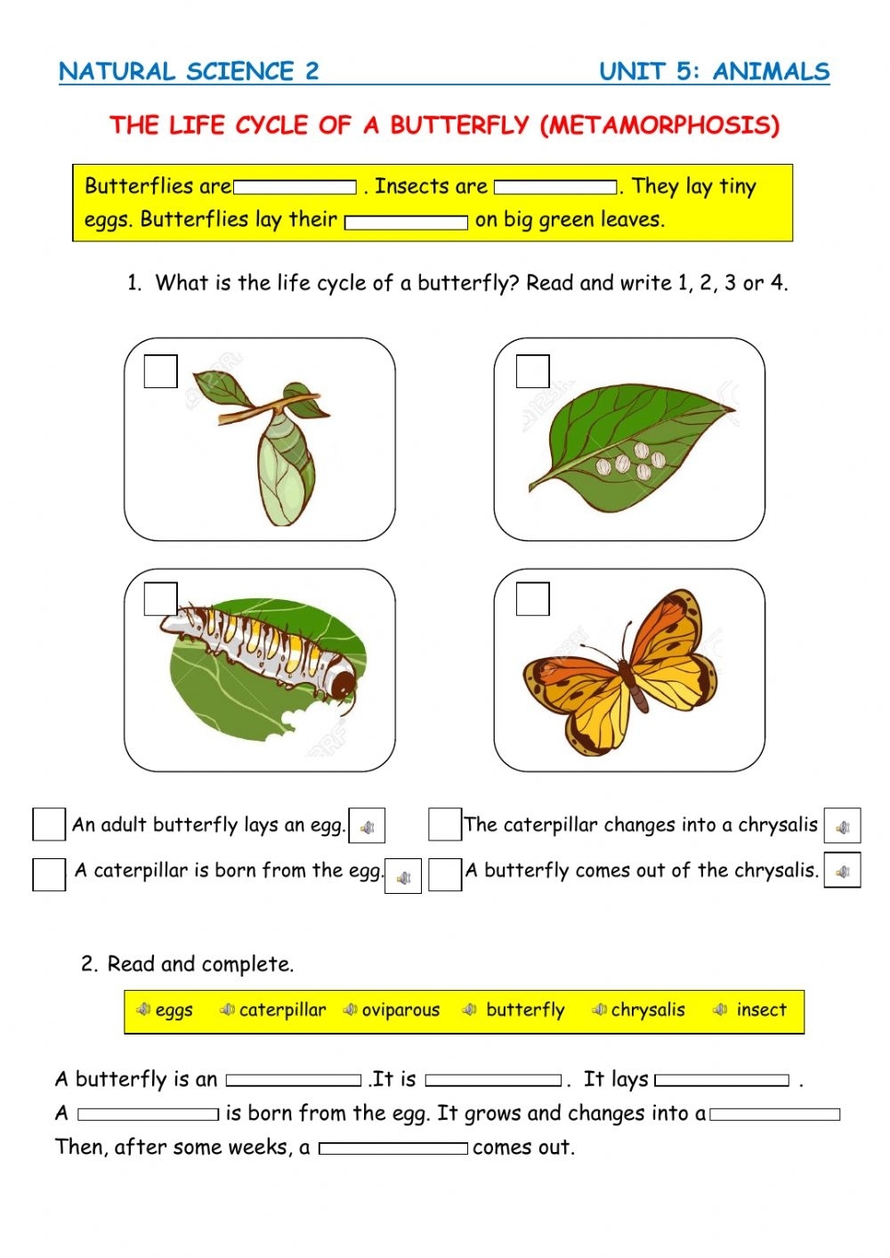 The Life Cycle Of A Butterfly Worksheet Printable Worksheets