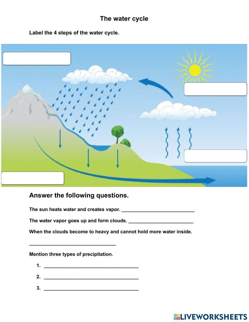 The Water Cycle Worksheet Printable And Distance Learning The Water Cycle Worksheet Printable And Distance Learning