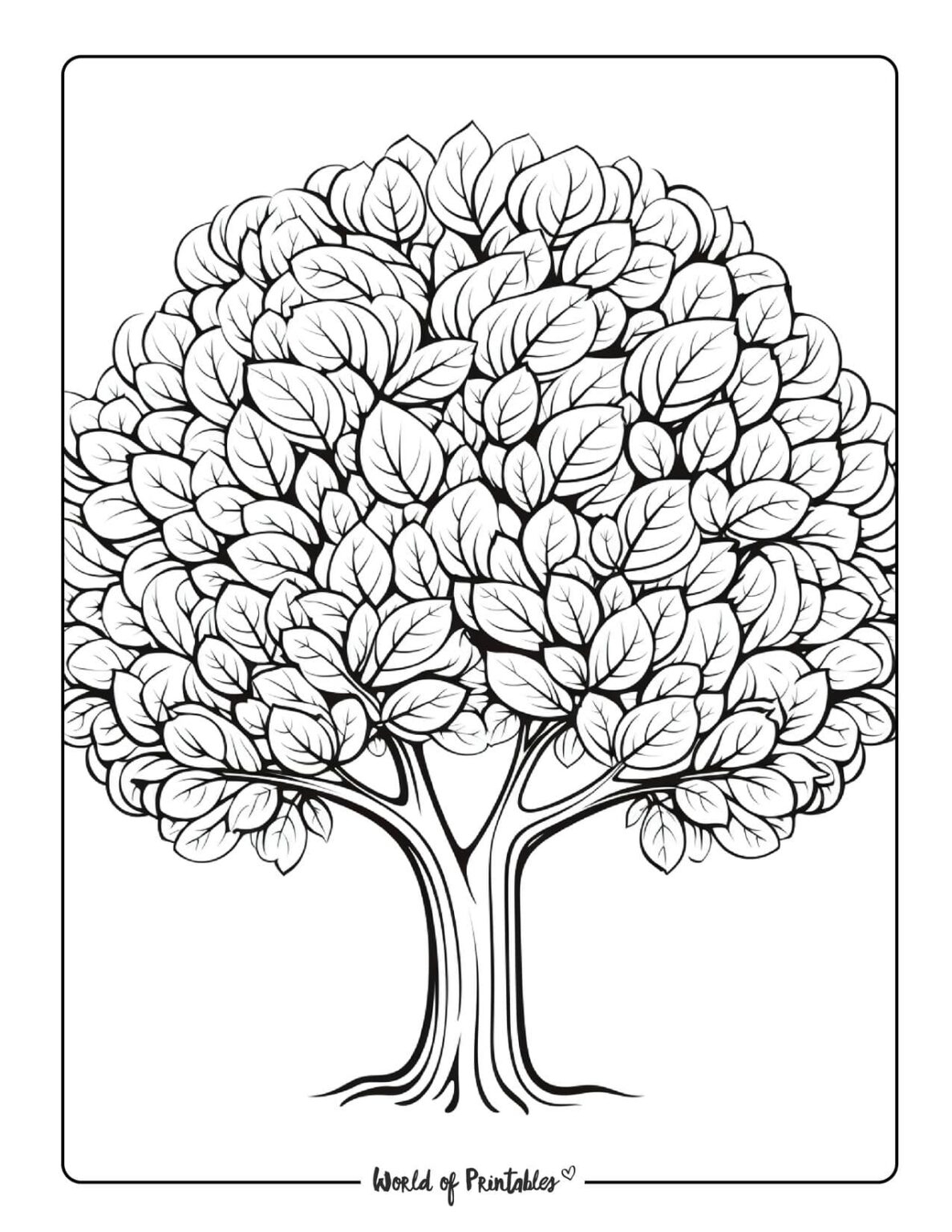 Tree Coloring Pages World Of Printables Tree Coloring Pages World Of Printables