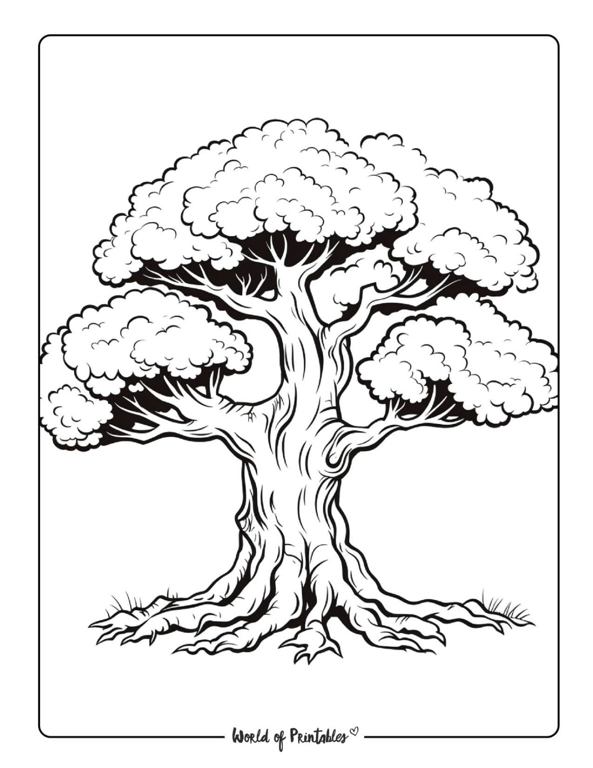 Tree Coloring Pages World Of Printables Tree Coloring Pages World Of Printables