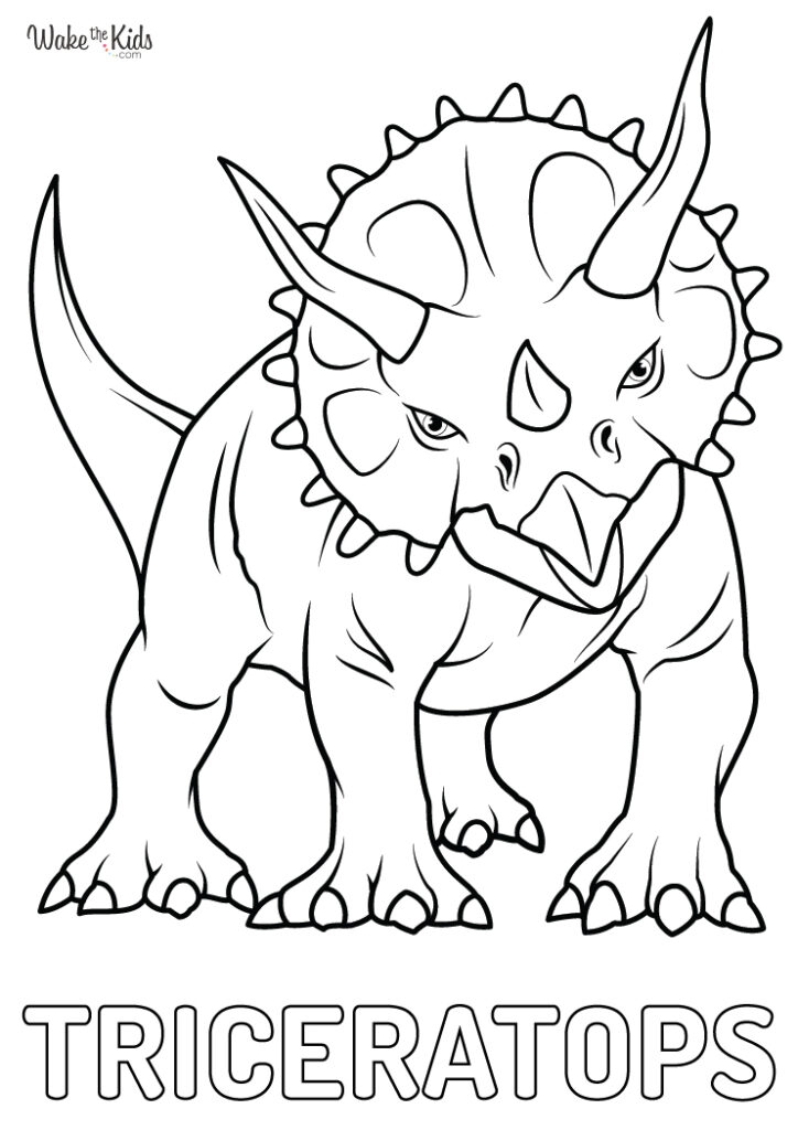 triceratops coloring page triceratops coloring page