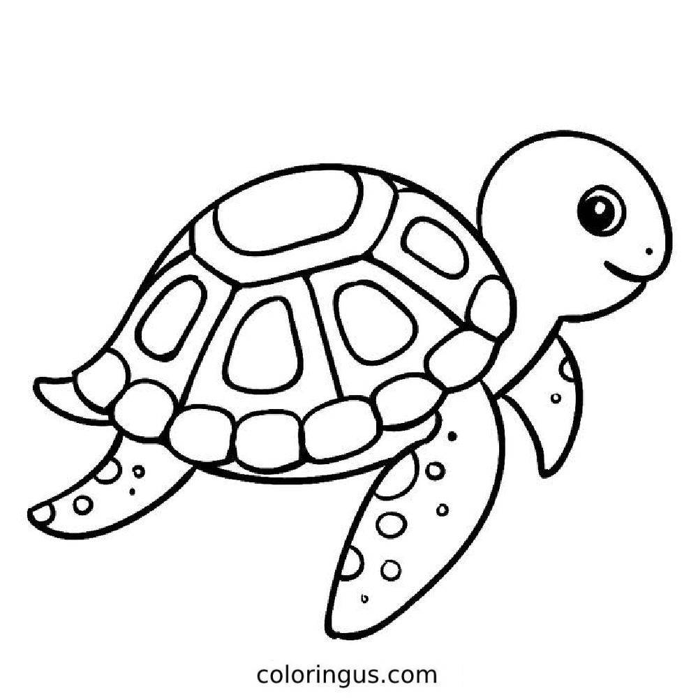 Turtle Coloring Pages Free Printable PDF Turtle Coloring Pages Free Printable PDF