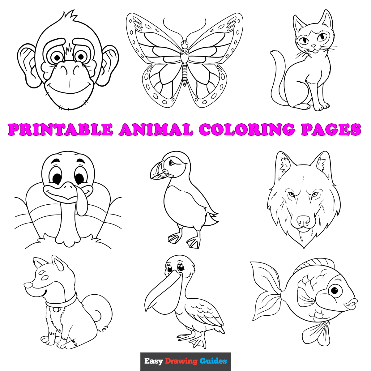 Unleash Your Creativity With Free Animal Coloring Pages Printable